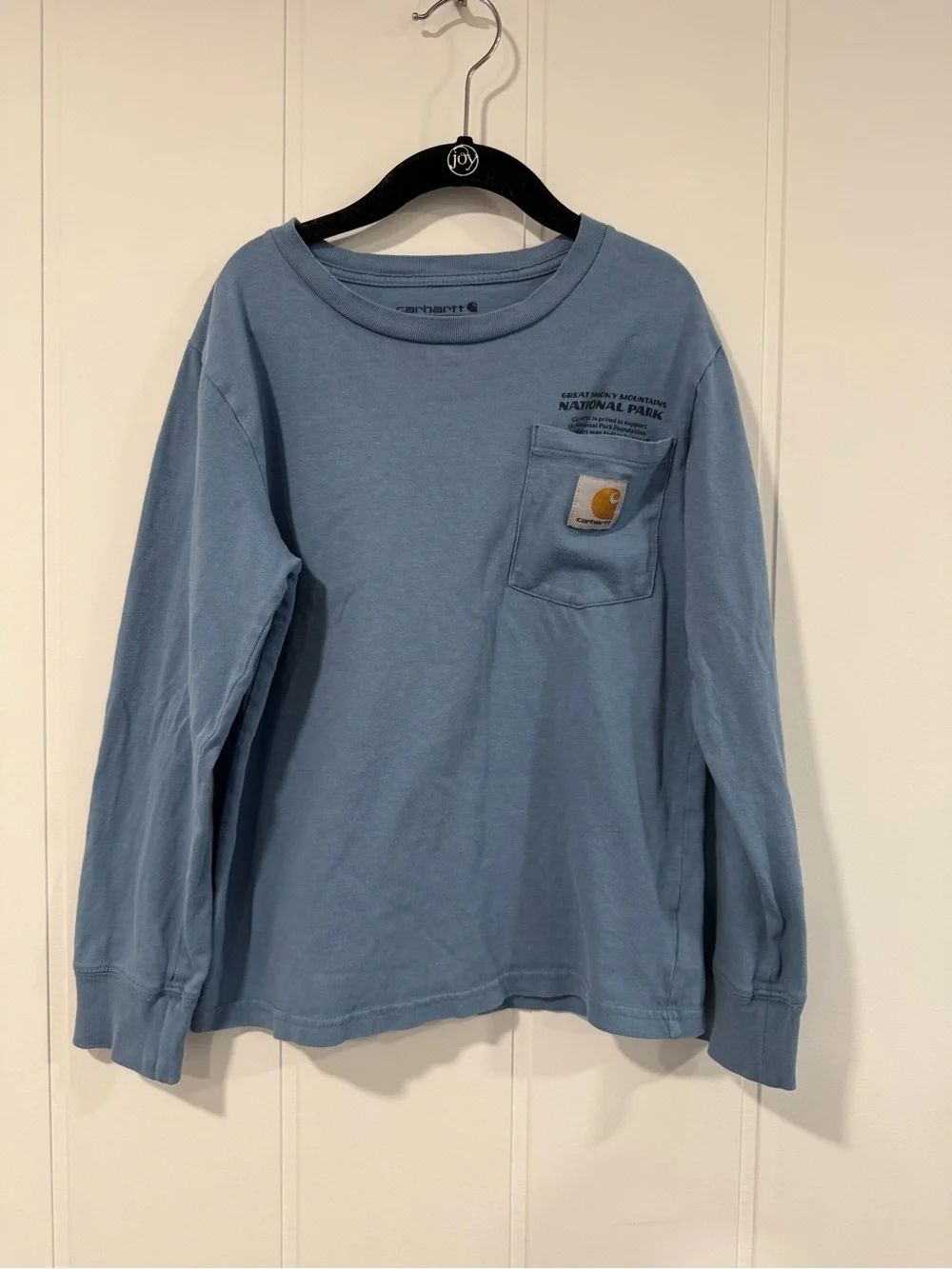 Carhartt Kids Long-Sleeve Pocket Tee in Dusty Blue